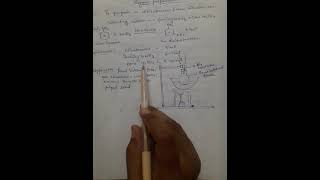 preparation of mdinitrobenzene from nitrobenzene pract13 [upl. by Mich182]