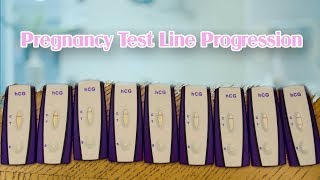 PREGNANCY TEST LINE PROGRESSION  IVF [upl. by Losyram]