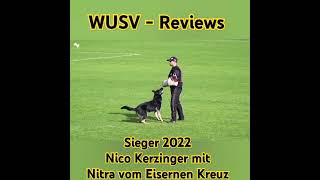 WUSV Reviews 2022 Nico Kerzinger mit Nitra vom Eisernen Kreuz [upl. by Gunas]