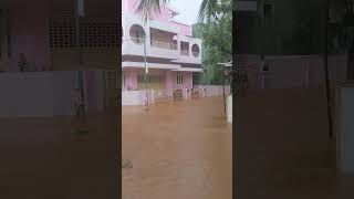 Pondicherry brindhavanam flood Cyclone Fengal [upl. by Strage50]