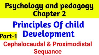 Cephalocaudal amp Proximodistal SequancePrincipal of child development Psychology ampPedagogytetctet [upl. by Neellek]