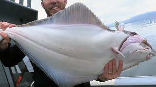 Halibut Fishing in Southeast Alaska Ketchikan [upl. by Jovitah]