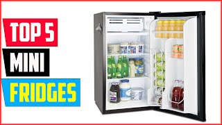 The 5 Best Mini Fridges of 2024 [upl. by Nodab]