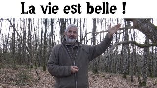 Hervé Coves et les Champignons [upl. by Tamanaha]