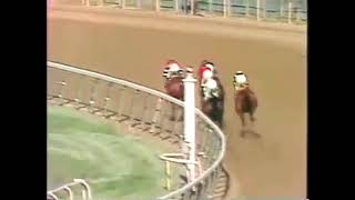 Affirmed wins the Belmont Stakes 1978 [upl. by Rolando299]