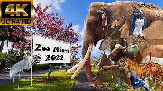 Zoo Miami 2022 10th Anniversary Special [upl. by Nugesulo]