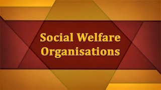 Social Welfare Organisations [upl. by Allan]