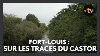 Un lieu des histoires à FortLouis  sur les traces du castor  Episode 24 [upl. by Artinahs760]