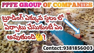 బ్రూడింగ్ ఎక్కువ స్థలం లో ఏర్పాటు చేసుకుంటే ఏం అవుతుంది 🤔Contact9381856003 [upl. by Newton283]