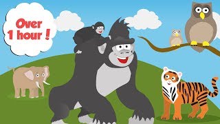 Zoo Animals For Toddlers  Learn Counting Colours and Days of the Week [upl. by Yettie]