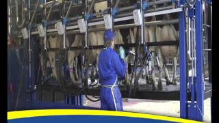 Dairymaster Die neue Generation MobiStar 2G [upl. by Hinkle930]