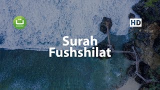 Surah Fushshilat  Abu Bakar AsySyathiri ᴴᴰ  Tadabbur Daily [upl. by Pancho697]