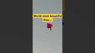 Ye Kesi Patang Hai Bhao😂😱 funnybackgroundmusic kiteflying patang kitearmy [upl. by Nnaecarg]