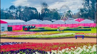 Floriade 2023 The Biggest And Best Garden Festival in Australia [upl. by Kotta]