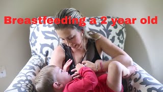 2 year breastfeeding update [upl. by Nerehs]