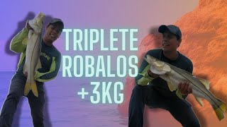 TRIPLETE DE ROBALOS PESCA En Escolleras Chiltepec Paraiso Tabasco [upl. by Daron]