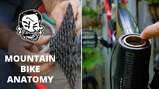 Mountain Bike Anatomy  50 parts in 5 minutes [upl. by Newcomb]