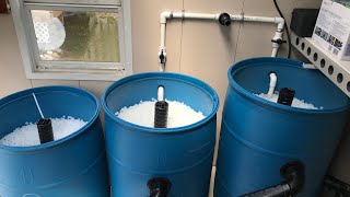 DIY 3Barrel Filter System for Koi Pond  Adding Media and Starting Up [upl. by Lashonde558]