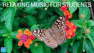 Relaxing Music For Elementary Students  Insects  Quiet classroom music for children study music [upl. by Annaynek]