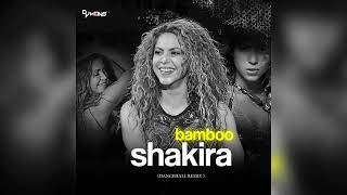 Shakira Bamboo Dancehall Remix Dj Mons [upl. by Katine390]