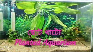 Small Planted Tank setup  Bangla [upl. by Igiul]