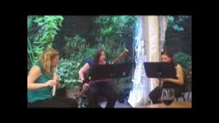 AMERICANA TRIO for Flute Clarinet and Bassoon by Charles Fernandez [upl. by Theone]