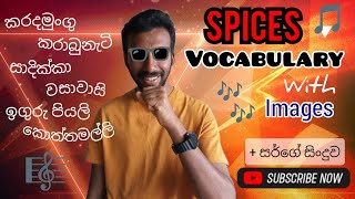 ගෙදර තියෙන කුළුබඩු english වලින් කියමුද  english vocabulary trending viralvideo [upl. by Sainana949]