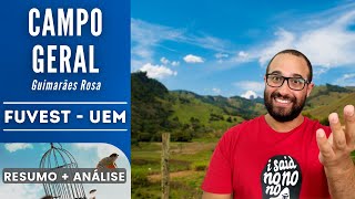 CAMPO GERAL  FUVEST  UEM  Guimarães Rosa  Resumo  Análise [upl. by Althea]