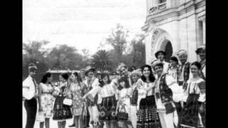 Moldavian Folk Music Orchestra populara din Chisinau Sârba 1950s [upl. by Aitnyc436]