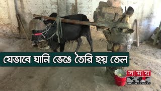 যেভাবে ঘানি ভেঙে তৈরি হয় তেল  Ghani  Traditional Method Of Oil Processing [upl. by Yajet]