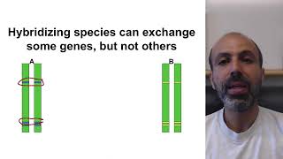 Genetics and Evolution  101 Speciation and Phylogenetics  Geography [upl. by Mendel]