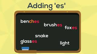 Spelling Rules  Adding es to Words  EasyTeaching [upl. by Niu920]