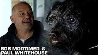 Bob Paul amp Ted Visit A Dog Shelter  Gone Christmas Fishing  Bob Mortimer amp Paul Whitehouse [upl. by Loggia612]