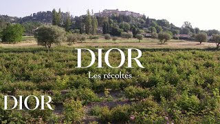 Dior Les Récoltes – Grasse Rose [upl. by Betty780]