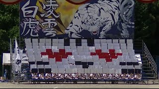 2014 八幡高校体育大会 白応援合戦（人文字パネル） [upl. by Yablon]