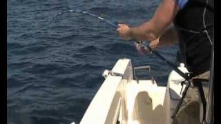 2011 Jigging Master PE8 reelakabatuna rod vs 220lb bluefin tuna [upl. by Salazar]