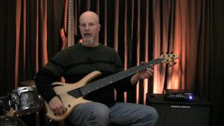 Lightwave Saber VL5 fretless bass [upl. by Skcirdnek]