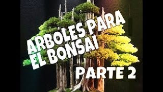 Arboles para el bonsai parte 2 [upl. by Sulakcin75]