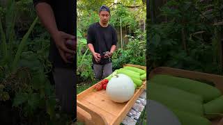 October ASMR Garden Grocery [upl. by Ennaear]