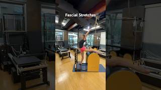 Fascial Stretches fascia stretching aging sportsperformance mobility movement [upl. by Dael]