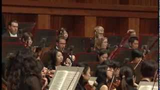 Brahms Symphony No 4  2nd Movement [upl. by Ronen]