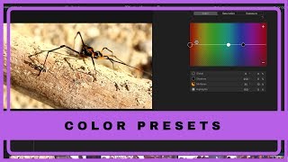 FCPX Color Presets [upl. by Youngman]