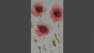 How To Paint Poppies In Watercolour For Beginners [upl. by Nmutua420]