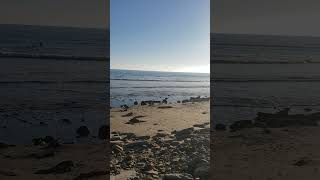 Surfers point Ventura CA nature [upl. by Sprung]