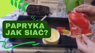 Jak siać paprykę z nasion Siew papryki w styczniu Rozsada papryki krok po kroku Porady ogrodnicze [upl. by Ignace287]