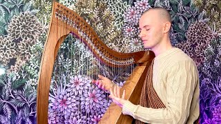 Celestial Dreams Harp Meditation  Relax Unwind amp Sleep Peacefully  Healing Frequency Celtic Harp [upl. by Drofyar]