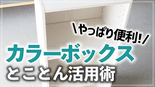 便利すぎる収納・カラーボックスをとことん活用！選び方・収納グッズ・活用アイデアを収納のプロが徹底解説【ニトリ】 Color box storage idea [upl. by Rickard66]