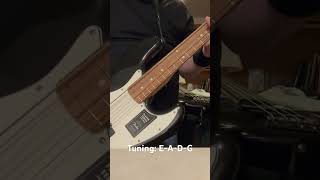 Lounge Act by Nirvana bass cover [upl. by Scarlet]