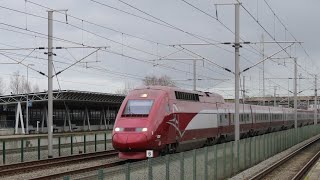 Thalys at Noorderkempen [upl. by Newell]