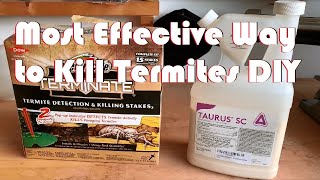 Most Effective Way to Get Rid of Termites Yourself [upl. by Acnalb411]